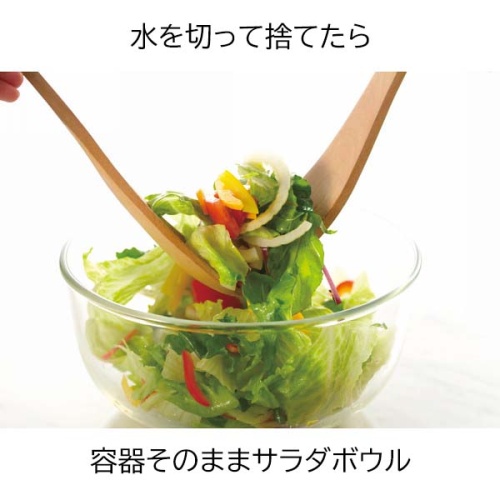 イワキ サラダスピナー 画像4