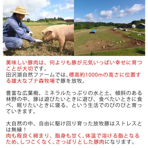 田沢湖生ハム スライス(2年熟成)　40g×4パック 画像3