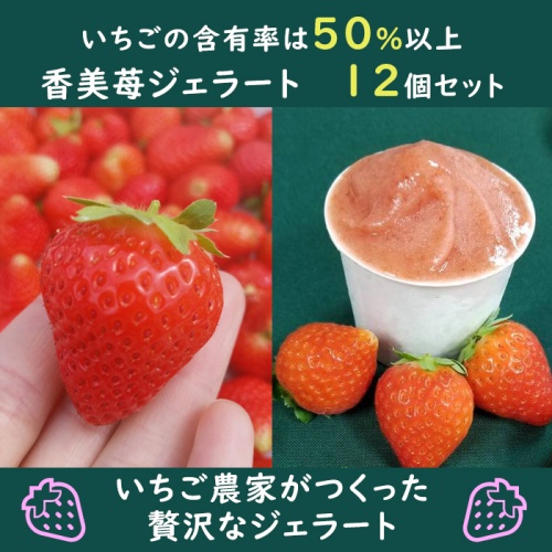 香美苺のジェラート 12個セット(兵庫県但馬のイチゴを50％以上使用）
