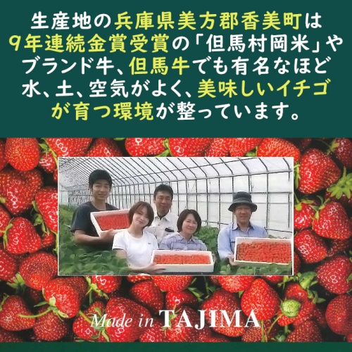 香美苺のジェラート 12個セット(兵庫県但馬のイチゴを50％以上使用） 画像3