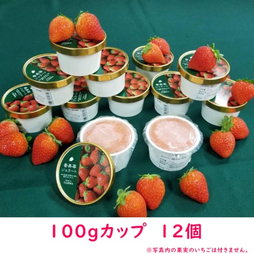 香美苺のジェラート 12個セット(兵庫県但馬のイチゴを50％以上使用） 画像4
