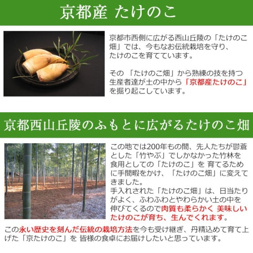 竹の子ごはん（2合炊き用）・佃煮・京の春筍セット 京たけのこ 画像3