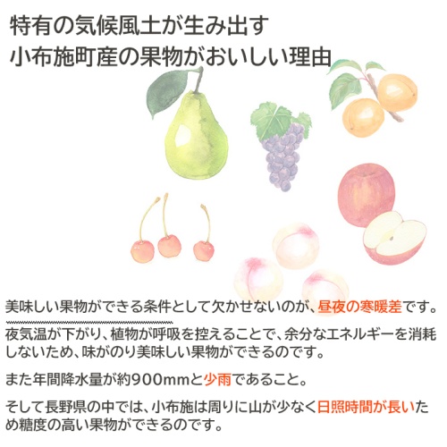 栗とりんごのはちみつセット　希少な長野県産の栗とりんごの花から採った蜂蜜　160g瓶各1本 画像4