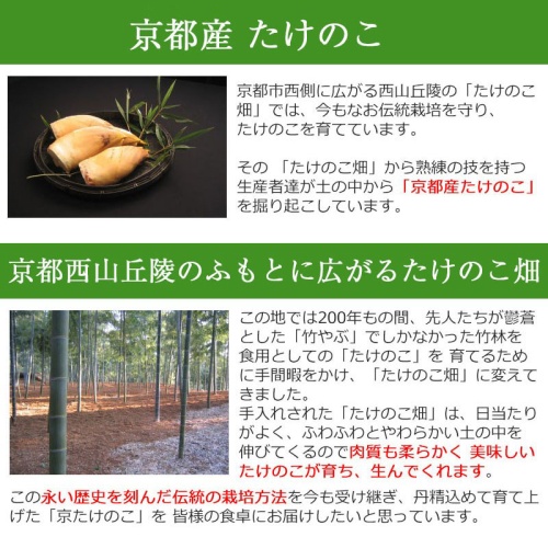 竹の子ごはん（2合炊き用）・佃煮・京の春筍セット 京たけのこ 画像3